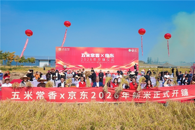 2026年五常大米开镰：产量将突破80万吨 五常大米预订量增长160%
